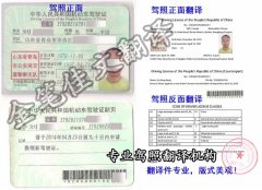 山东驾照翻译盖章