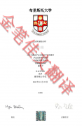 英国布里斯托大学学位证翻译案例模板