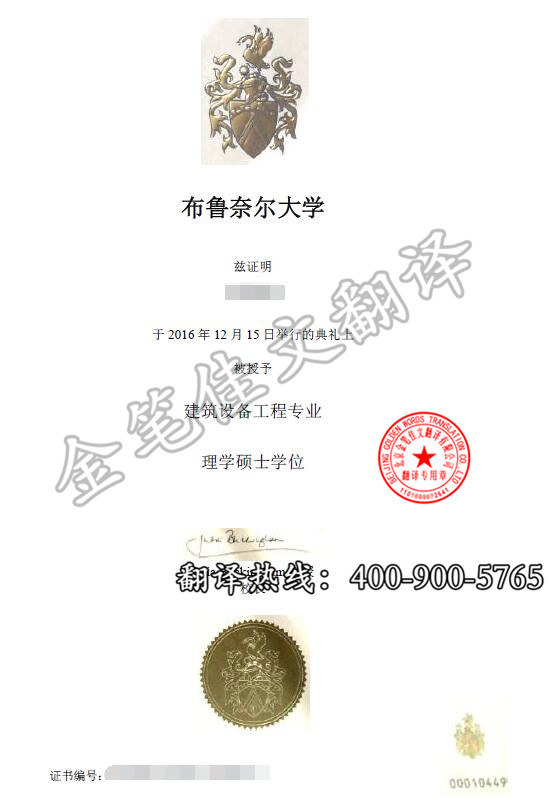 布鲁奈尔大学